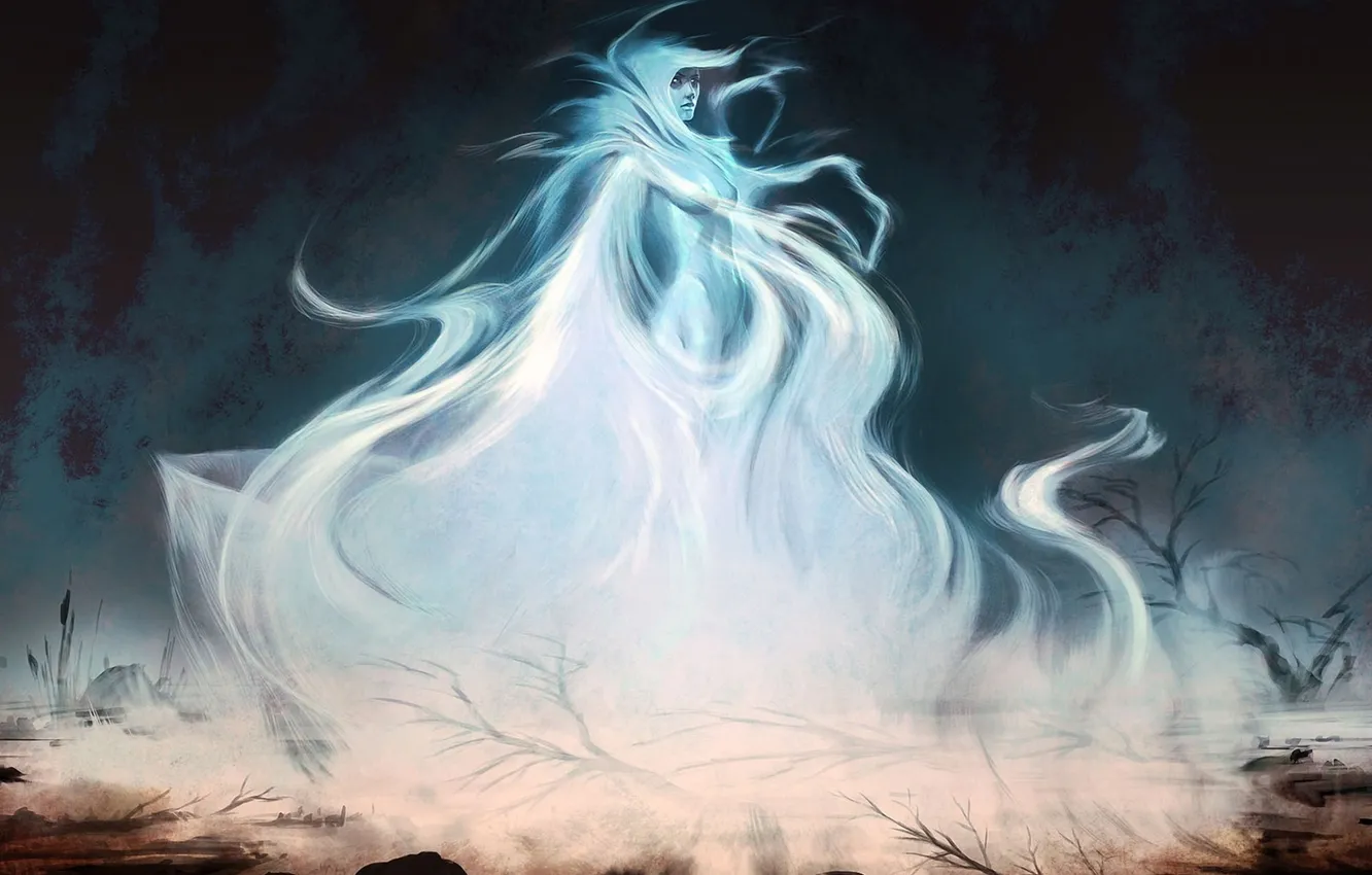 Photo wallpaper girl, stones, spirit, art, Skyrim, translucent, Wisp Mother, Ray Lederer