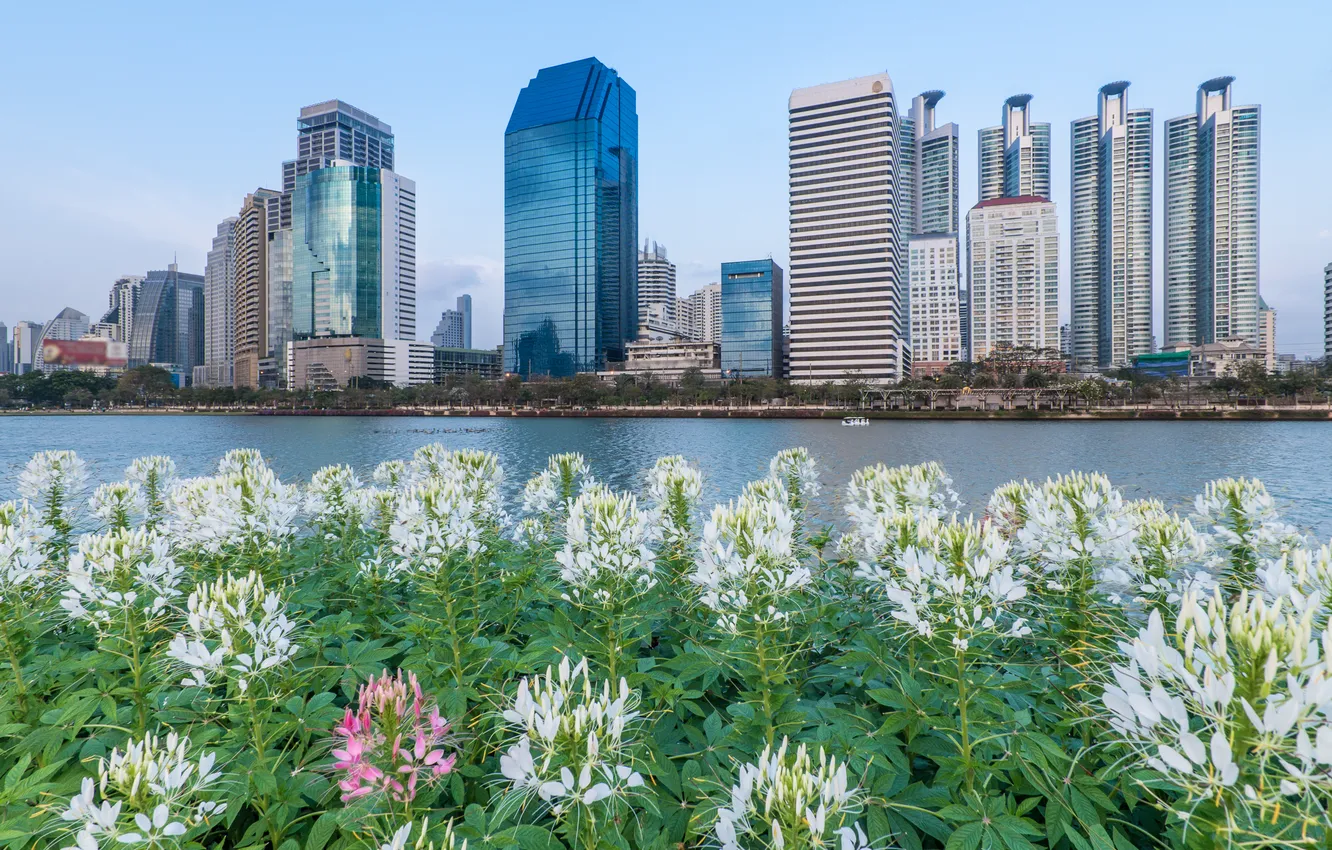 Photo wallpaper landscape, flowers, the city, river, Thailand, Highrise modern building in Bangkok