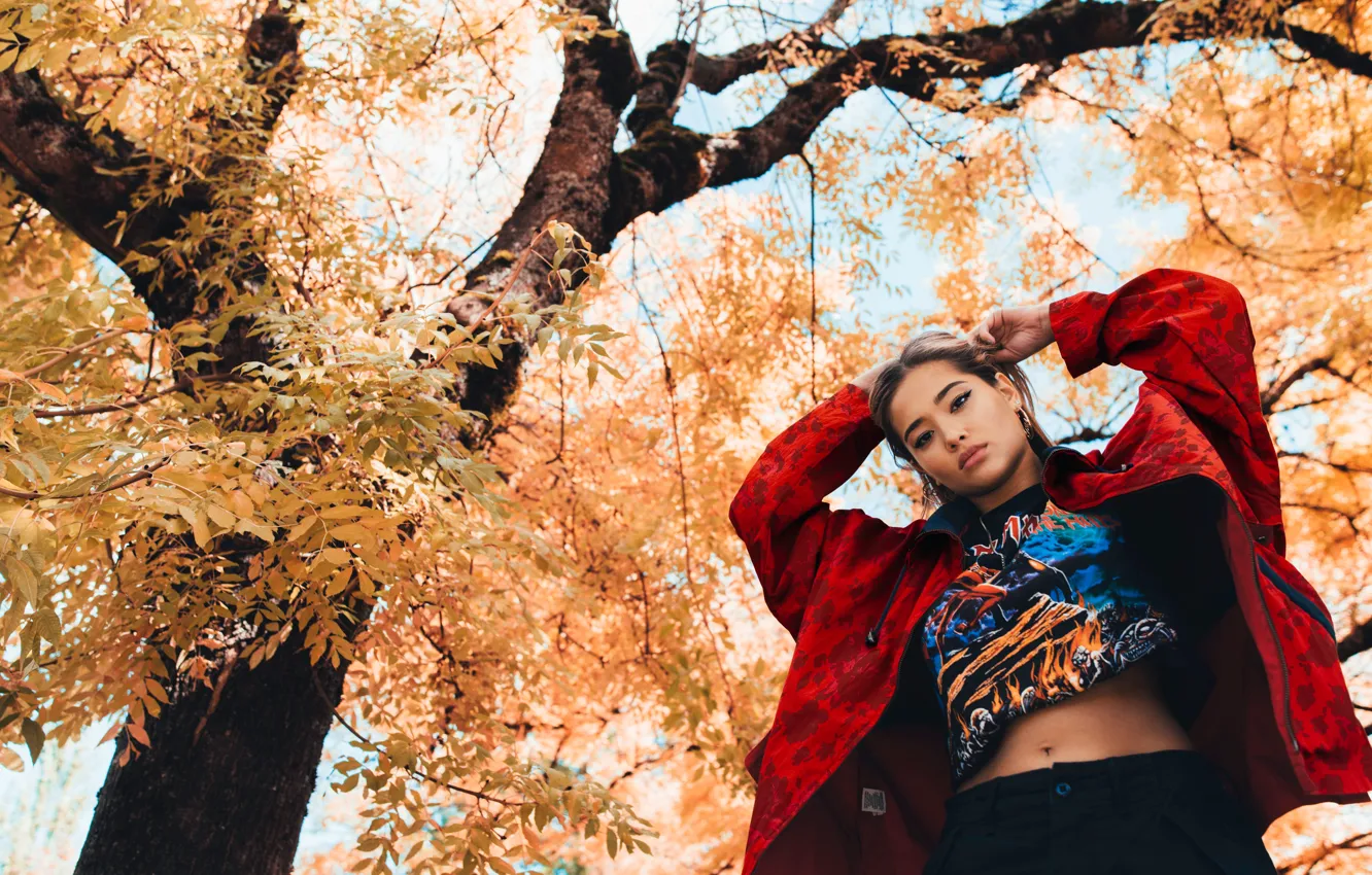 Photo wallpaper autumn, leaves, girl, trees, style, jacket, Asian, Asian girl