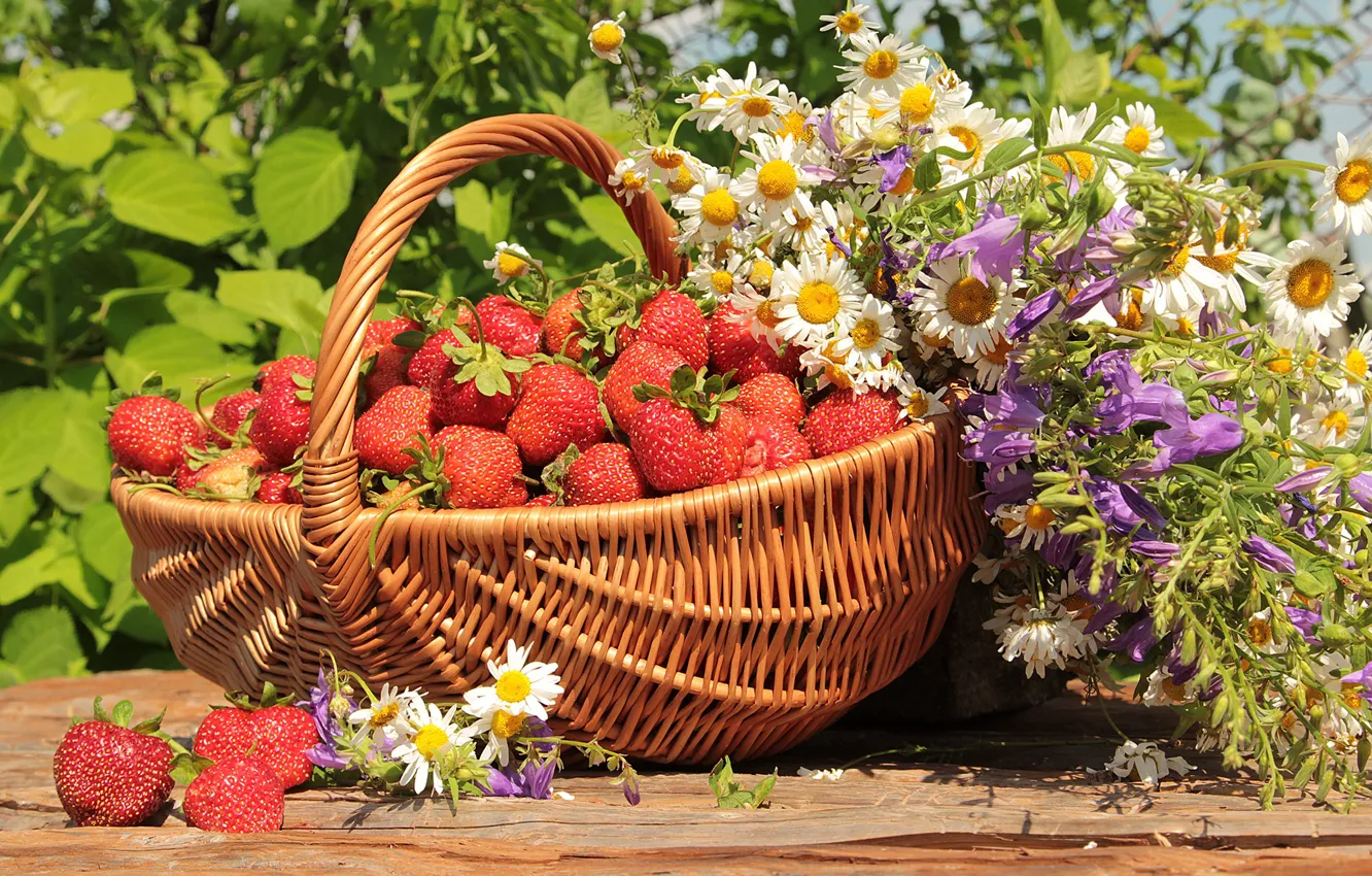 Photo wallpaper greens, summer, the sun, flowers, basket, chamomile, strawberry, berry