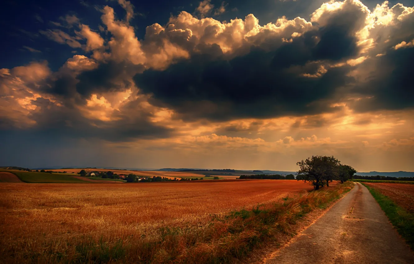 Photo wallpaper road, field, the sky, clouds, tree, Germany, Germany, Saar