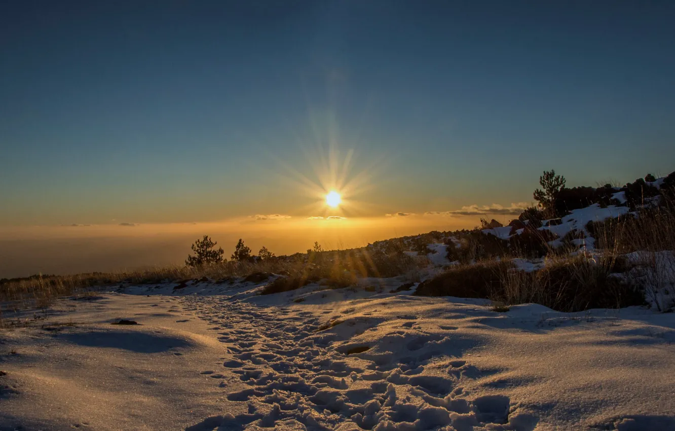 Photo wallpaper winter, field, the sun, rays, snow, traces