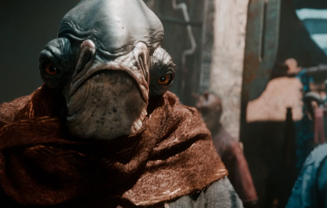 Photo wallpaper fiction, Star wars, eklips, Star Wars Eclipse, Mon Calamari, Mon Calamari