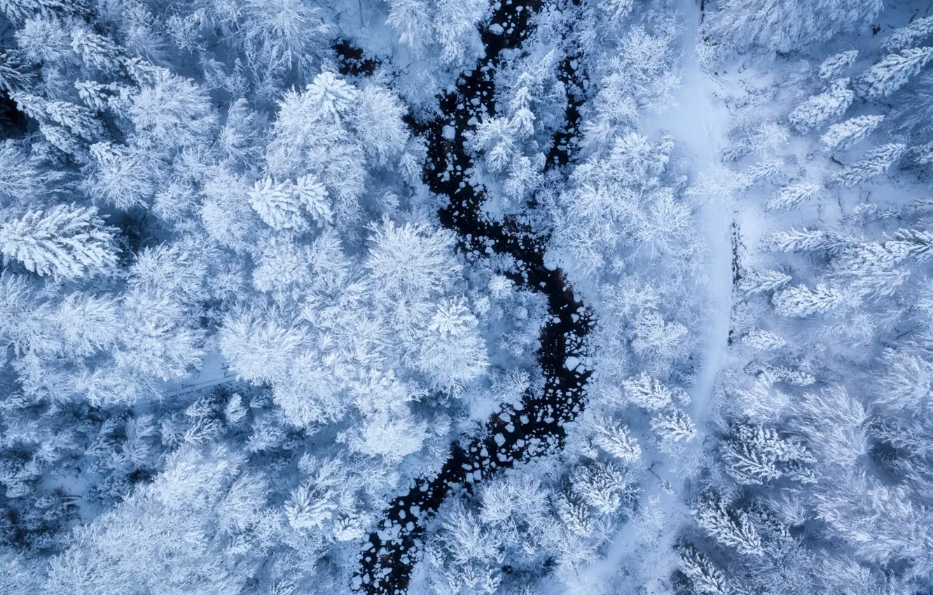 Photo wallpaper winter, frost, forest, snow, trees, river, height, ate