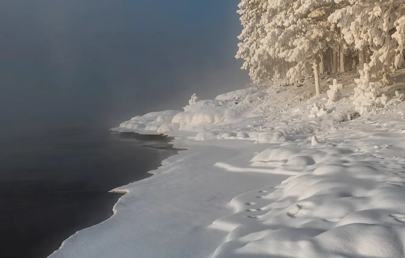 Photo wallpaper winter, frost, snow, trees, landscape, nature, fog, river