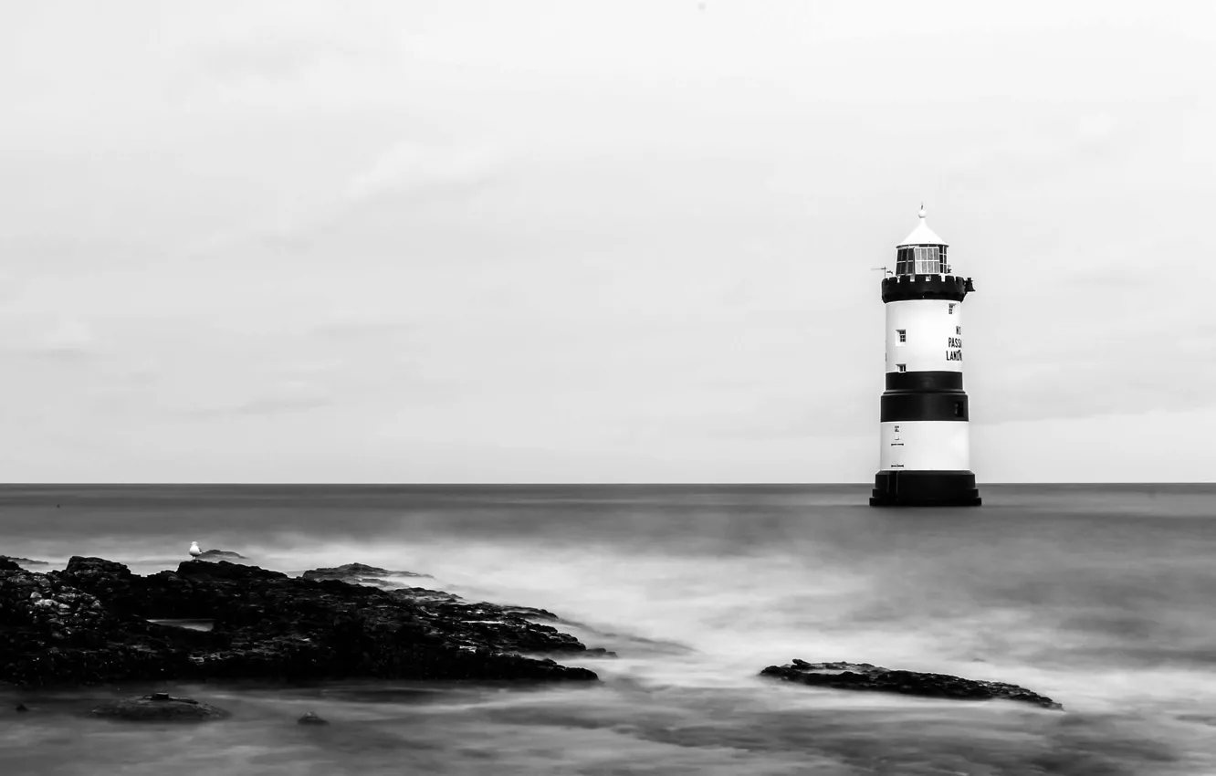 Photo wallpaper sea, rocks, lighthouse, seagull, long exposure