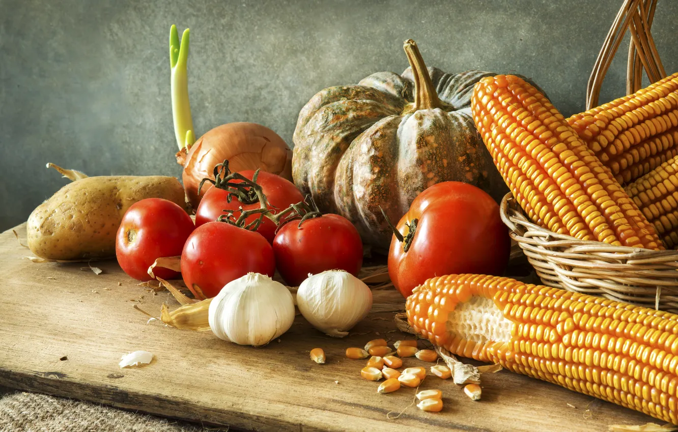 Photo wallpaper corn, bow, pumpkin, still life, tomatoes, potatoes, cuts