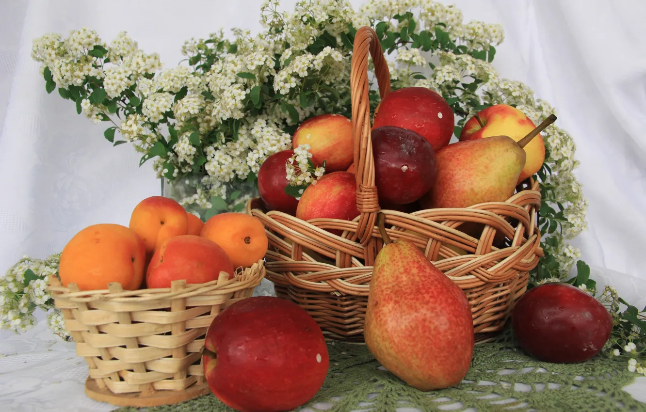 Photo wallpaper flowers, table, apples, fruit, still life, pear, tablecloth, apricots
