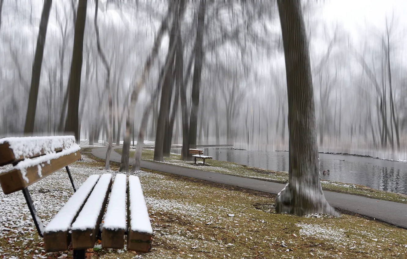 Photo wallpaper autumn, snow, trees, pond, Park, track, bench