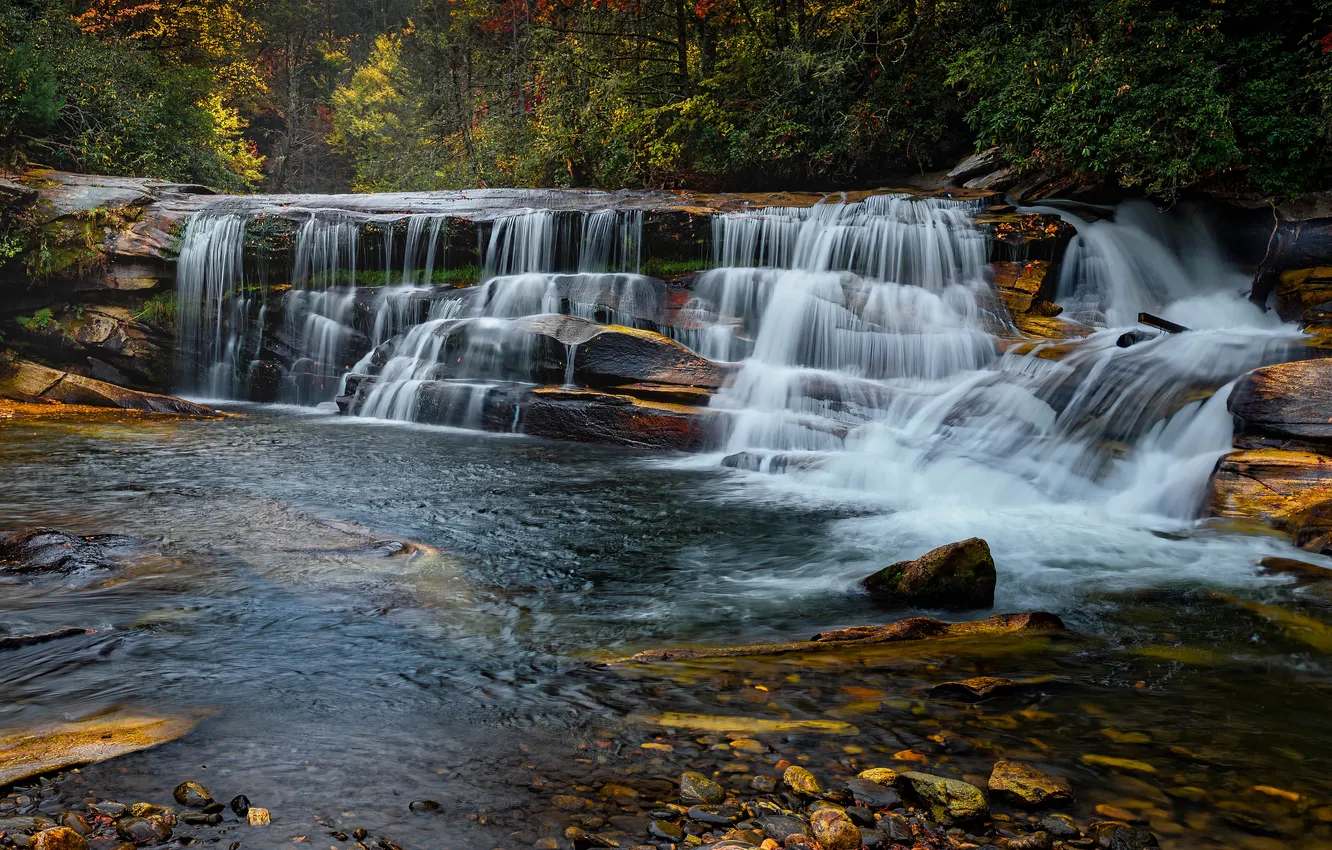 Photo wallpaper forest, nature, river, waterfall