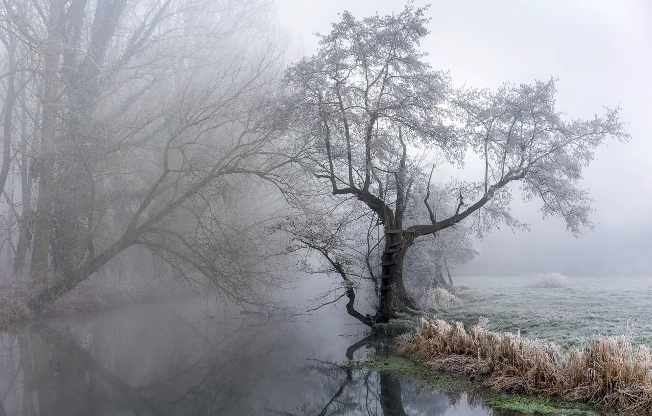 Photo wallpaper nature, fog, river