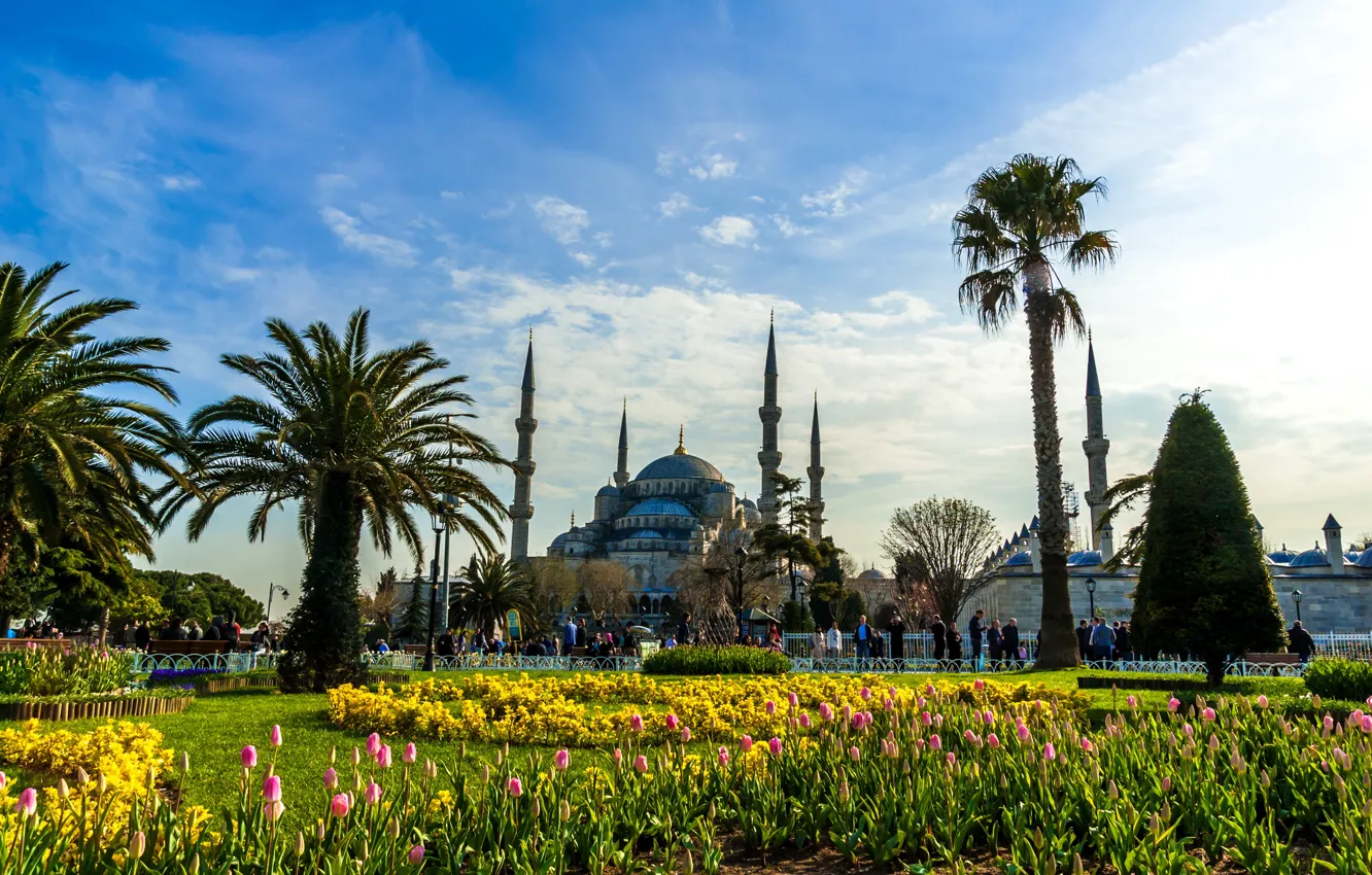 Photo wallpaper the sky, the sun, clouds, flowers, palm trees, people, tulips, Istanbul