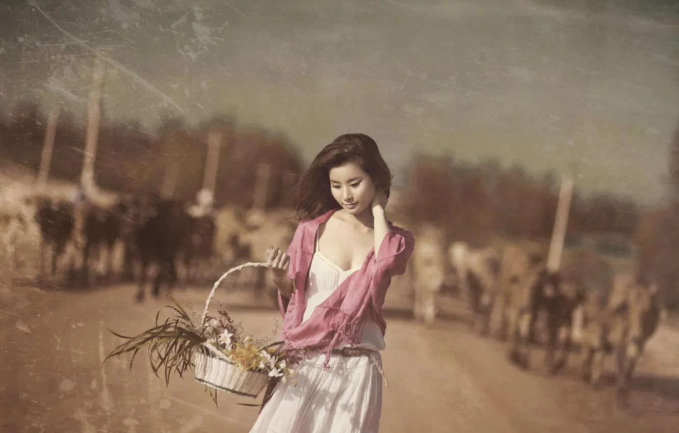 Photo wallpaper girl, background, Asian