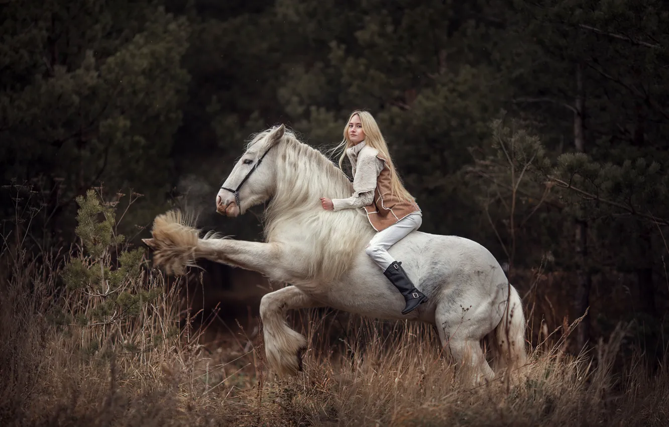 Photo wallpaper girl, horse, blonde, rider