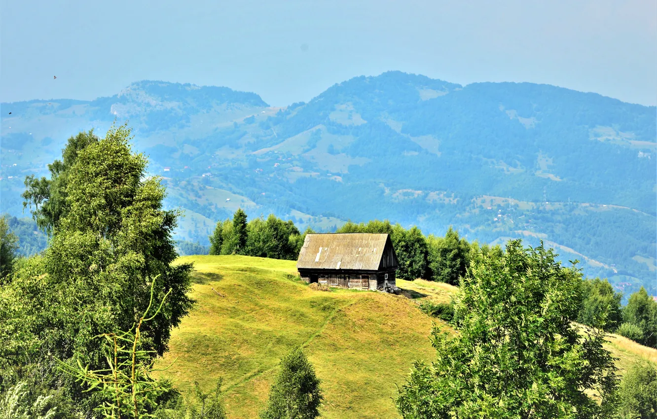 Photo wallpaper greens, field, forest, grass, the sun, trees, mountains, meadow