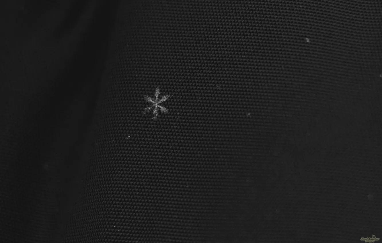 Photo wallpaper Macro, Snow, Snowflake, Cold