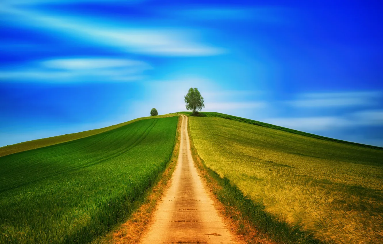 Photo wallpaper road, field, trees, hills