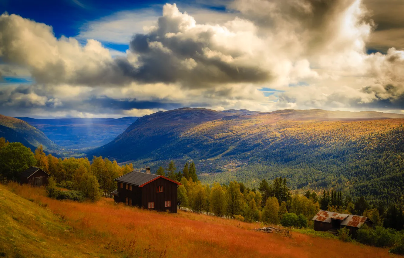 Photo wallpaper forest, the sky, clouds, mountains, house, Norway, national Park, The Hardangervidda