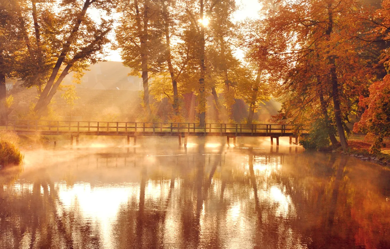 Photo wallpaper autumn, leaves, water, the sun, light, trees, bridge, nature