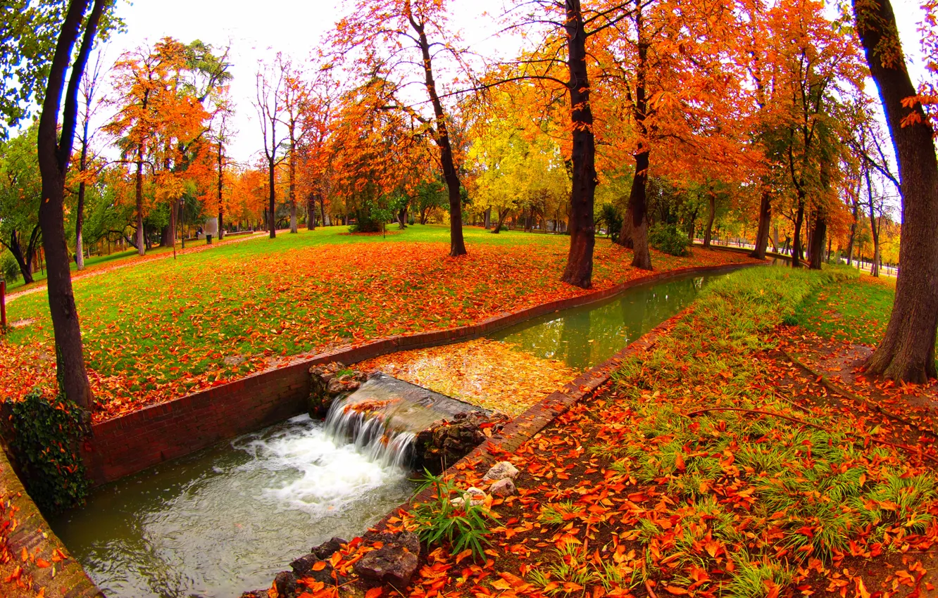 Photo wallpaper autumn, water, trees, Park, stream