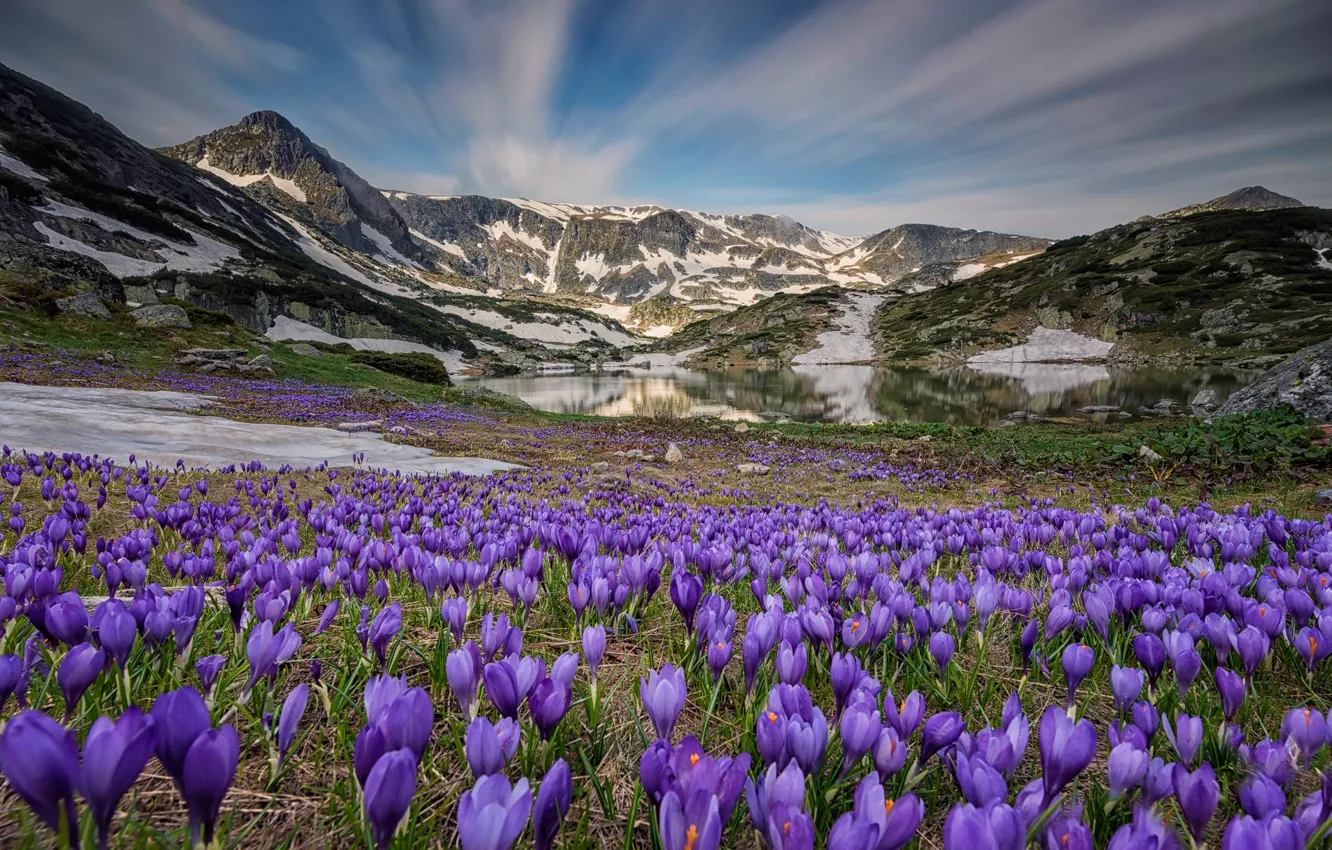 Photo wallpaper the sky, flowers, mountains, nature, lake
