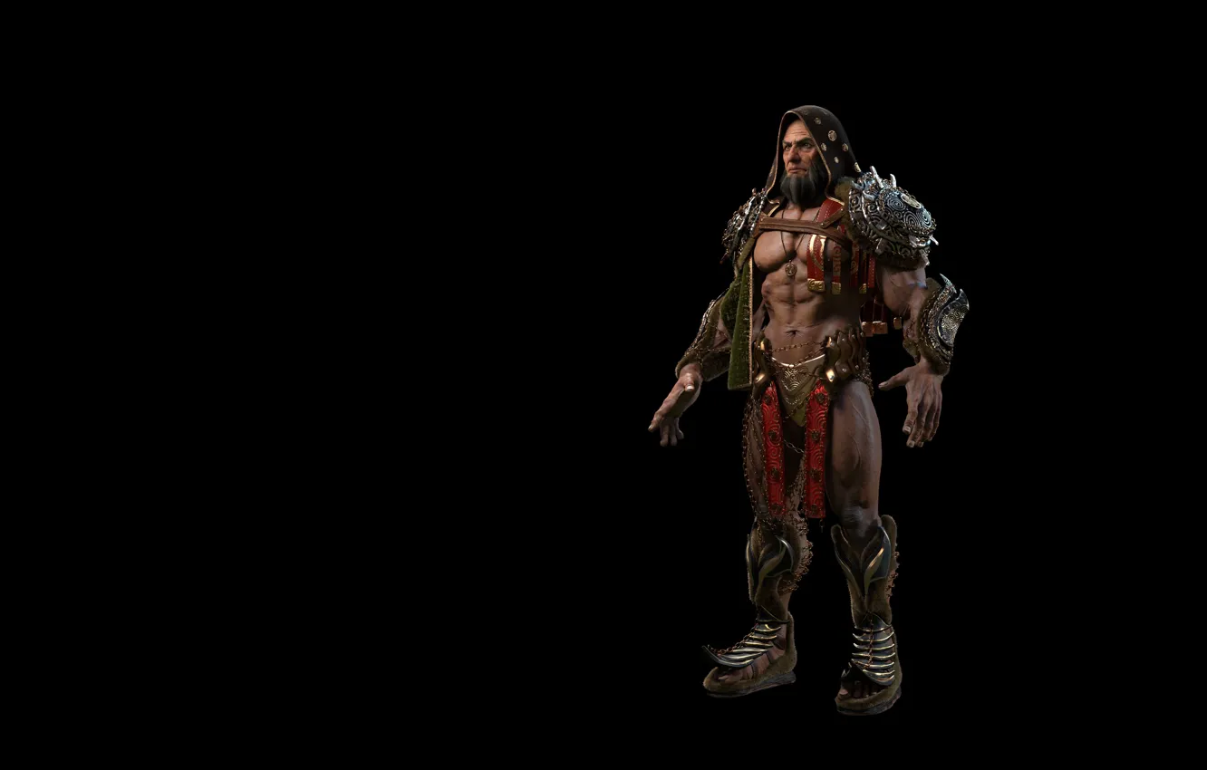 Photo wallpaper rendering, the game, armor, male, characters, 3D, voih