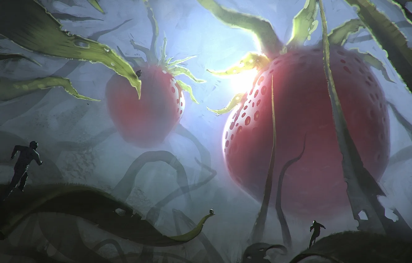 Photo wallpaper grass, light, berries, people, plant, strawberry, art, giant