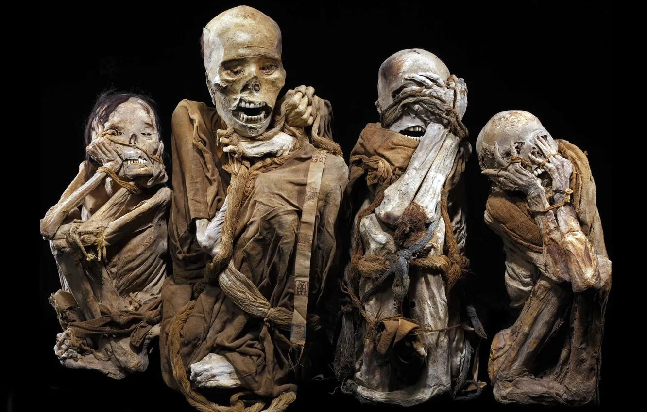 Photo wallpaper background, black, the remains, bones, skeleton, mummy