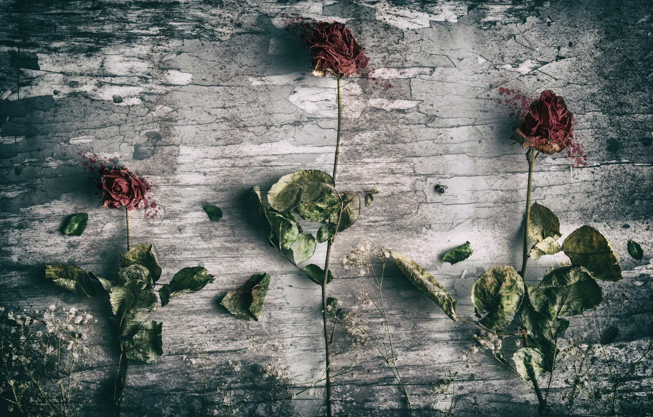 Photo wallpaper flowers, background, texture