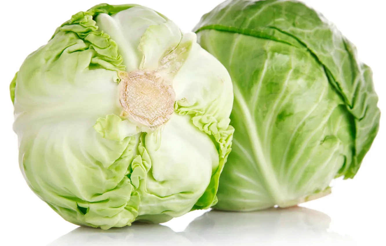 Photo wallpaper white background, cabbage, white