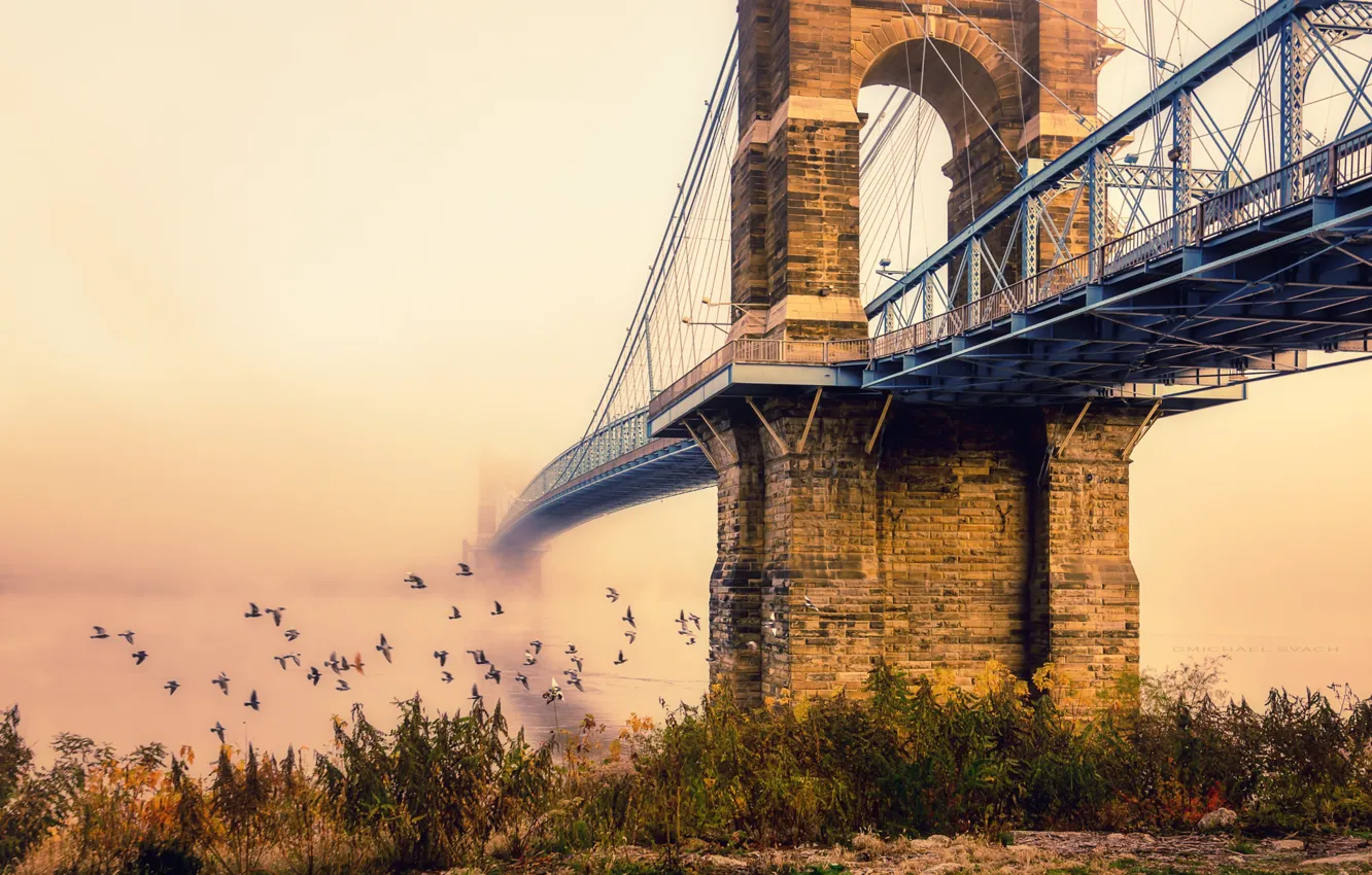 Photo wallpaper birds, bridge, the city, fog, morning
