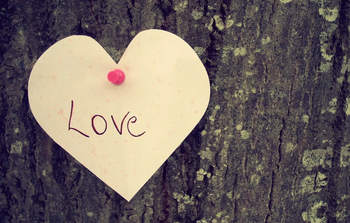 Photo wallpaper love, tree, mood, the inscription, heart, love, heart.feeling