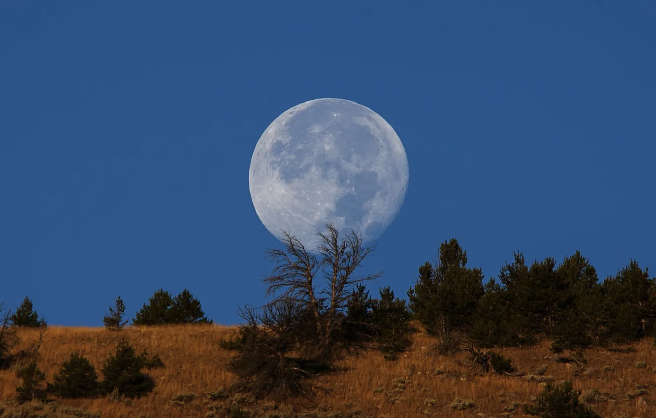 Photo wallpaper moon, sky, blue, hill, countryside, full moon
