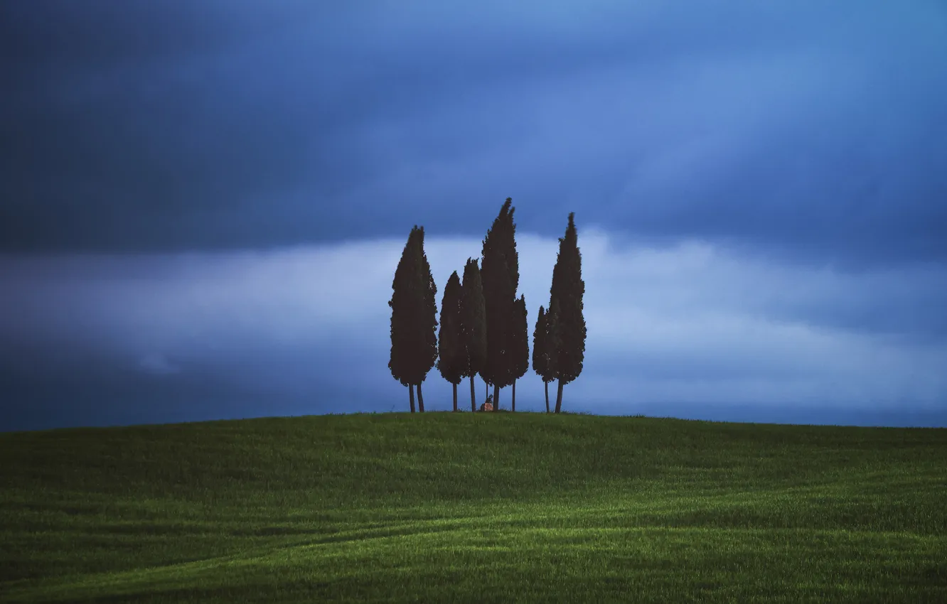Photo wallpaper greens, field, the sky, clouds, trees, clouds, blue, cypress