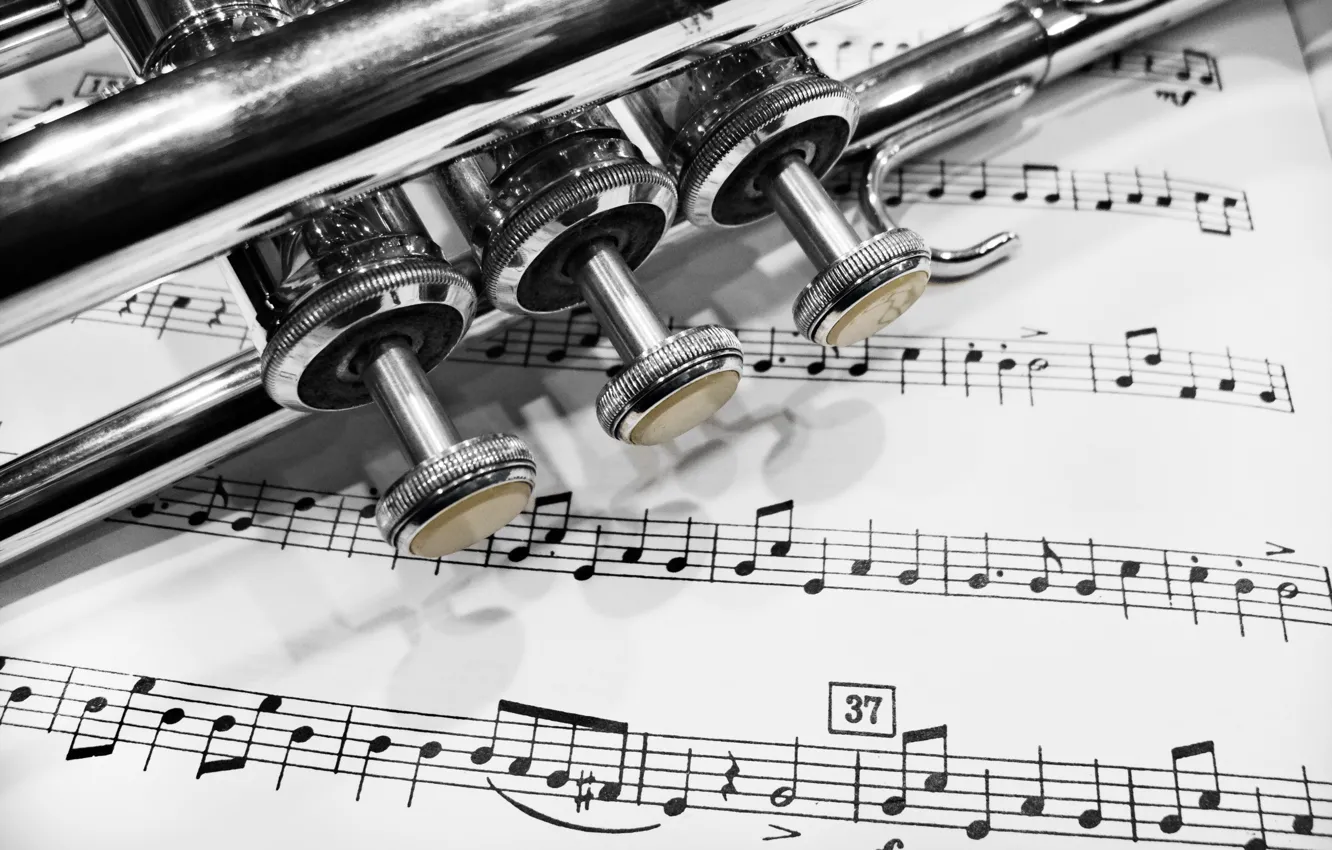 Photo wallpaper notes, music, pipe