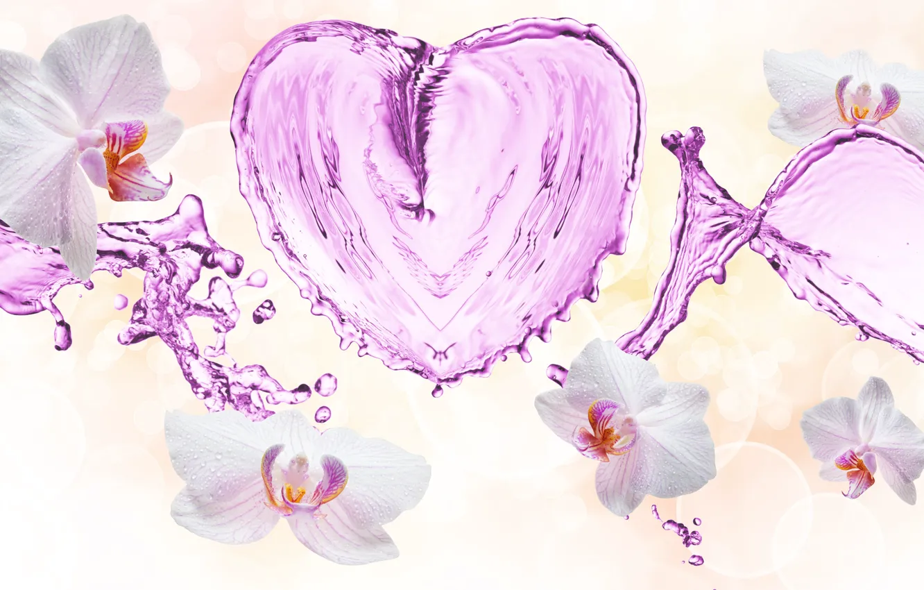Photo wallpaper water, drops, flowers, squirt, pattern, heart, Orchid