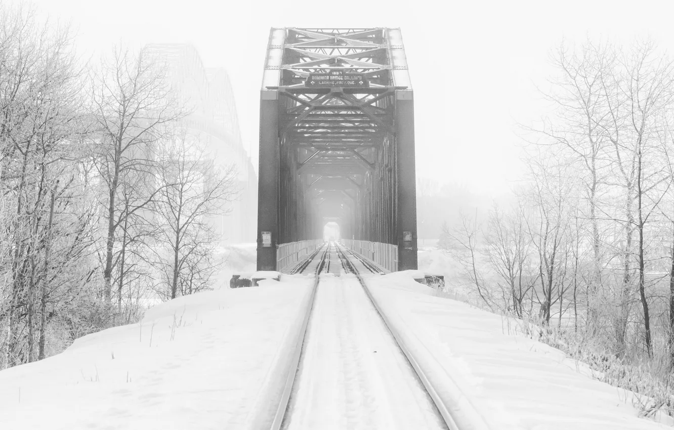 Photo wallpaper winter, road, bridge, fog