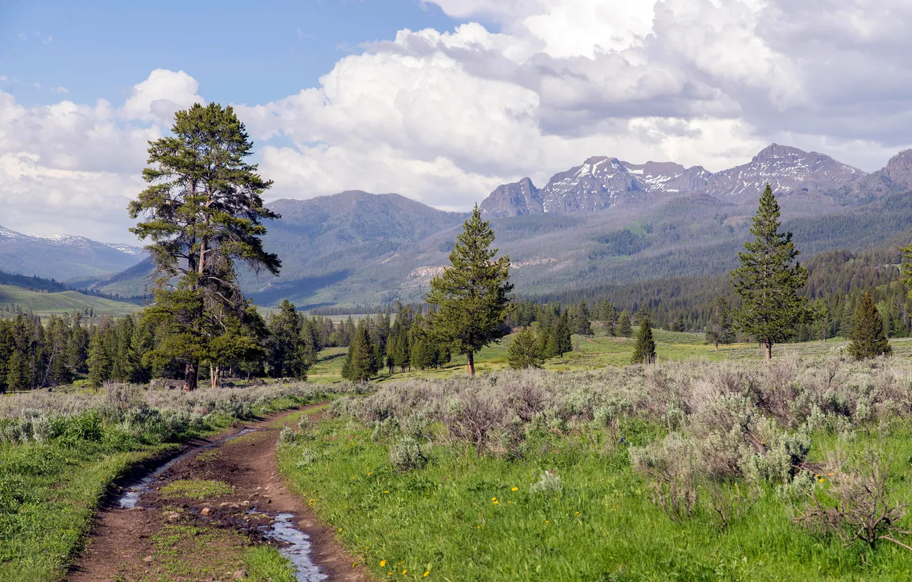 Photo wallpaper road, the sky, trees, mountains, clouds