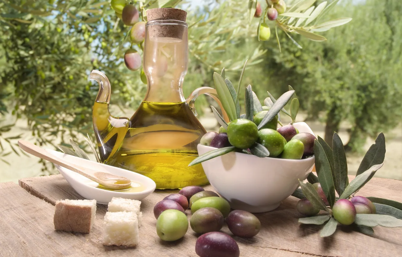 Photo wallpaper oil, branch, olives, bowl, crackers