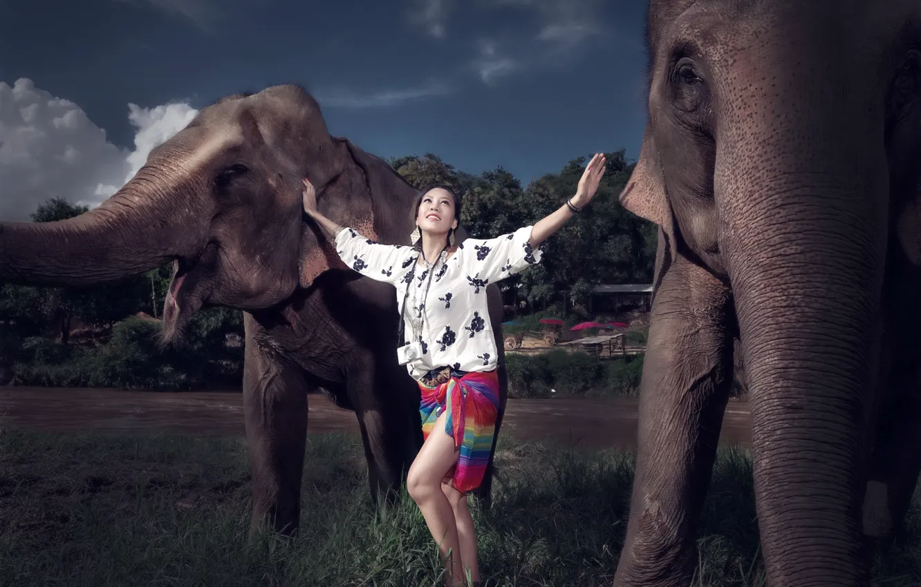 Photo wallpaper girl, background, elephants