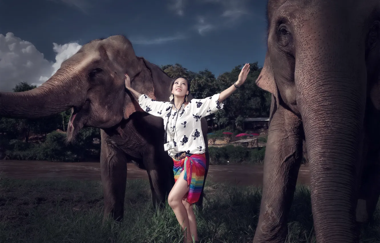 Photo wallpaper girl, background, elephant