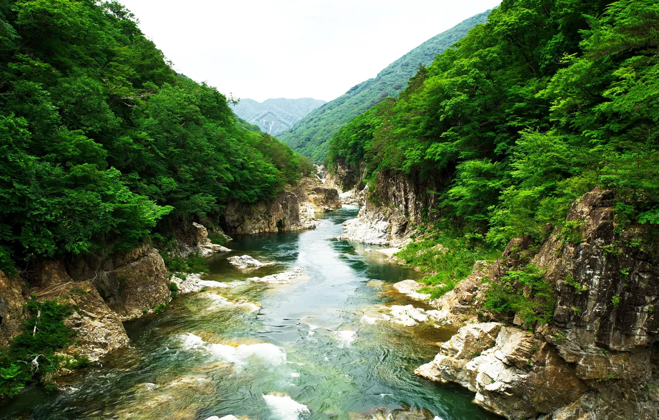 Photo wallpaper trees, landscape, mountains, river, rocks, Japan, Japan, Rivers