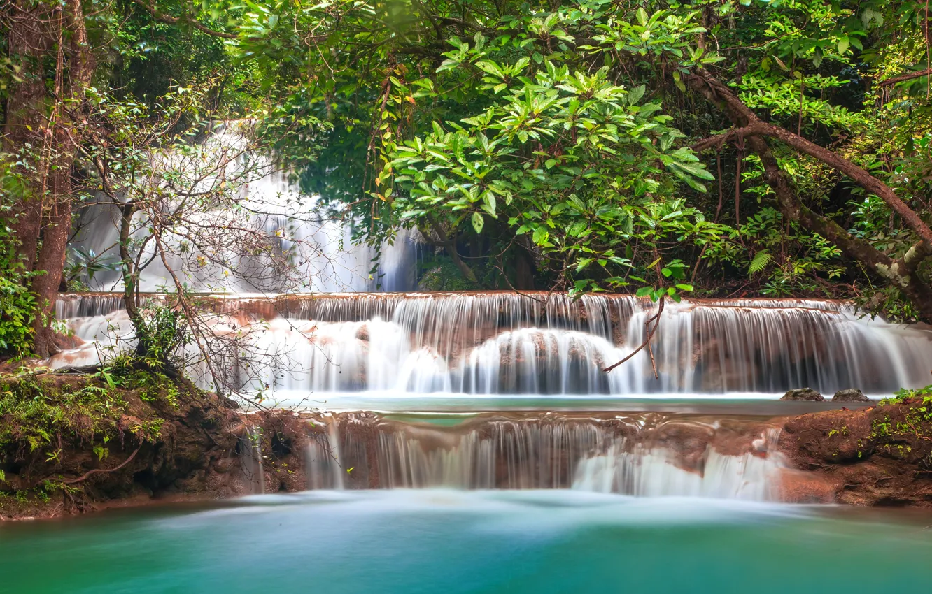 Photo wallpaper forest, landscape, river, rocks, waterfall, summer, forest, tropical