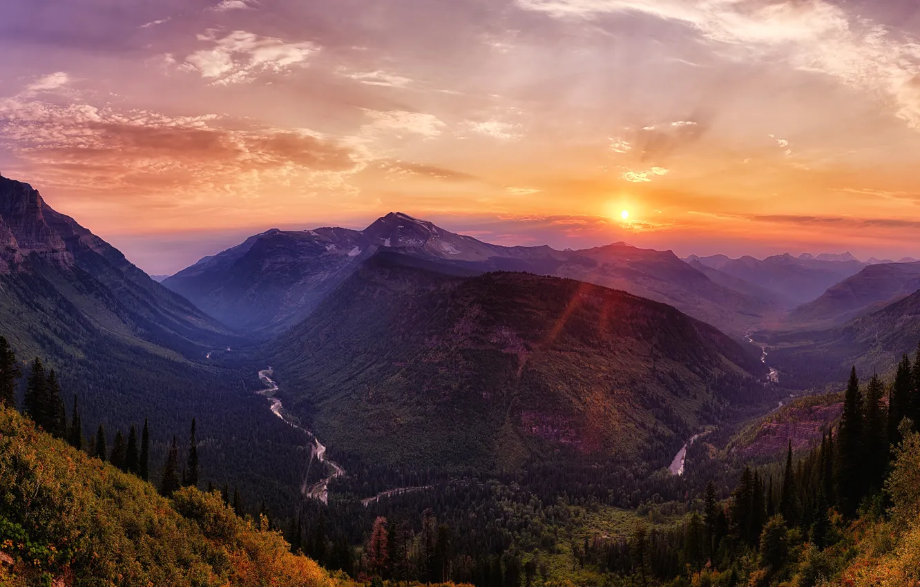 Photo wallpaper autumn, forest, the sky, the sun, clouds, rays, light, sunset