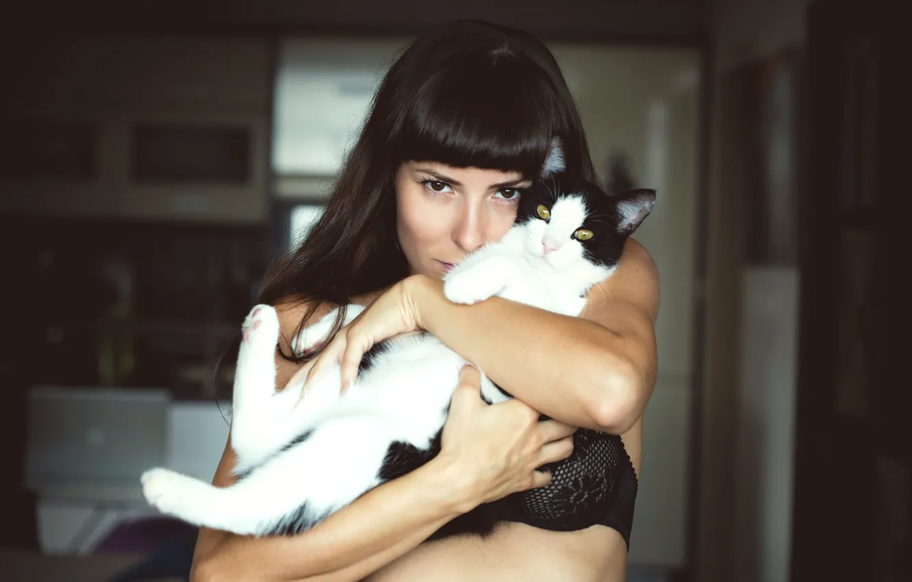 Photo wallpaper cat, photo, cat, Milada Vigerova, Milada Vigerova