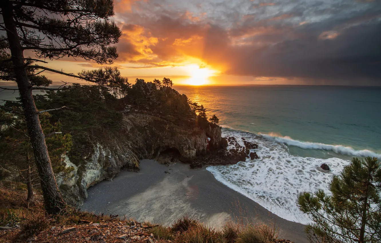 Photo wallpaper sea, the sky, the sun, clouds, trees, rocks, shore, horizon