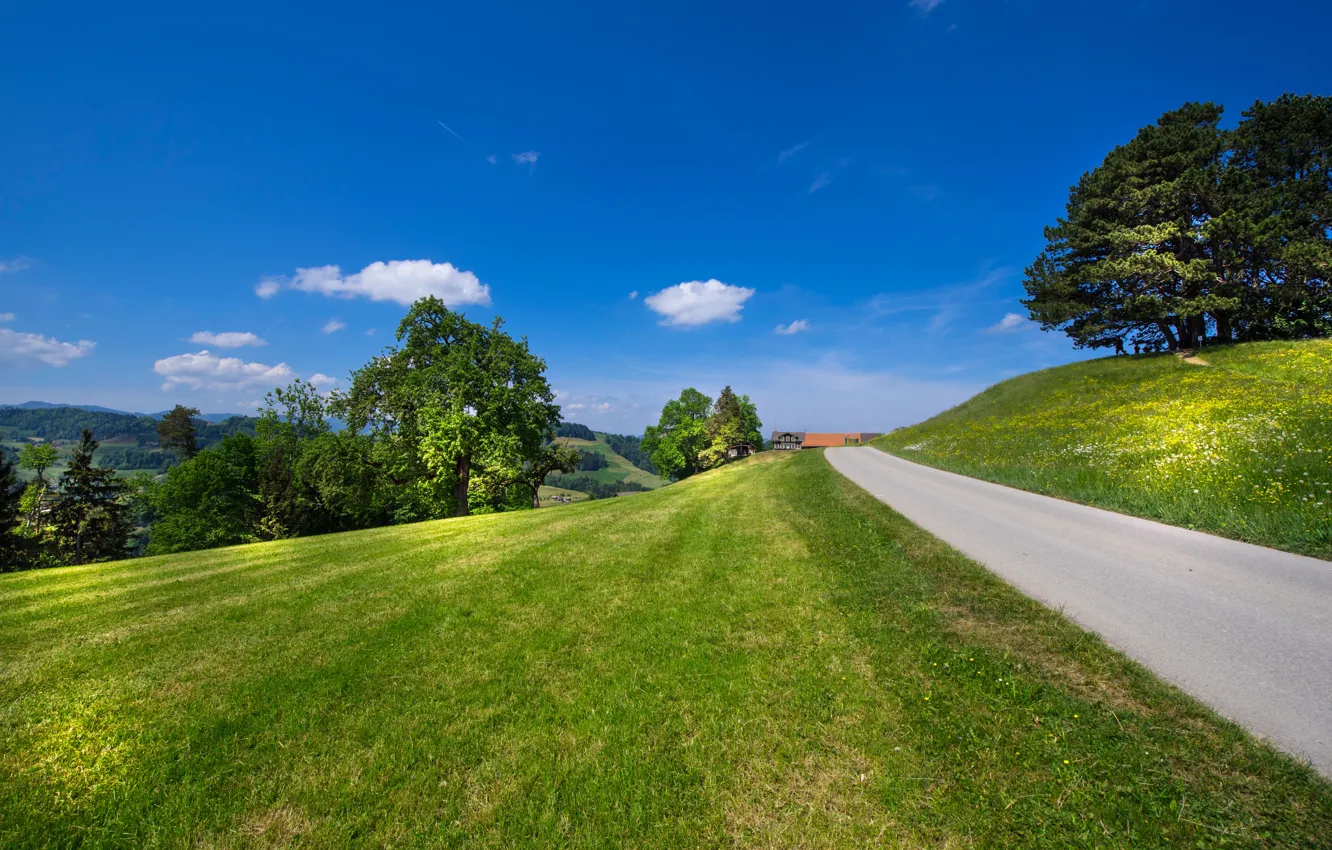 Photo wallpaper road, the sky, trees, Switzerland, meadow, Switzerland, St. Gallen, Canton of St. Gallen