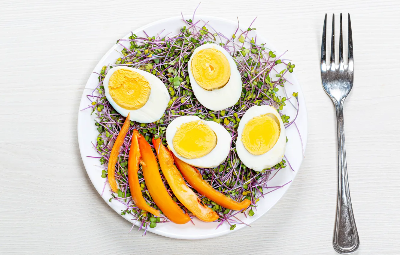 Photo wallpaper eggs, plate, plug