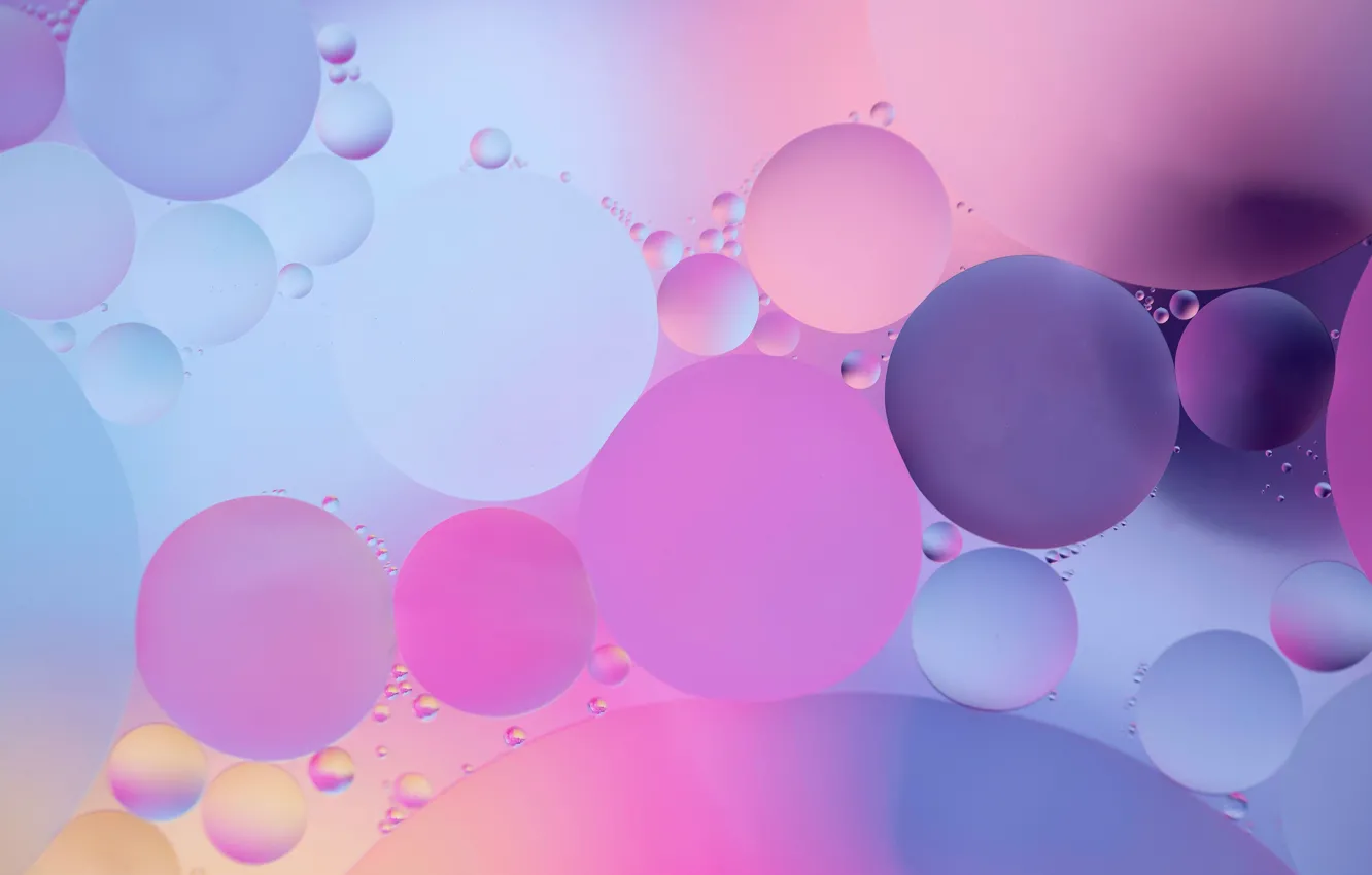 Photo wallpaper water, drops, circles, oil, gradient, Dustin Humes