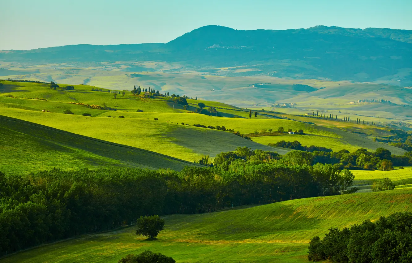 Photo wallpaper greens, field, grass, trees, mountains, meadow, Italy, panorama
